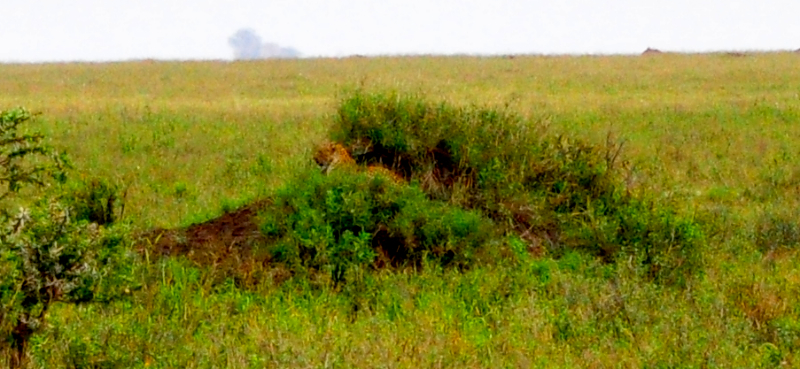 Melanie Heinrich Travel Images Africa